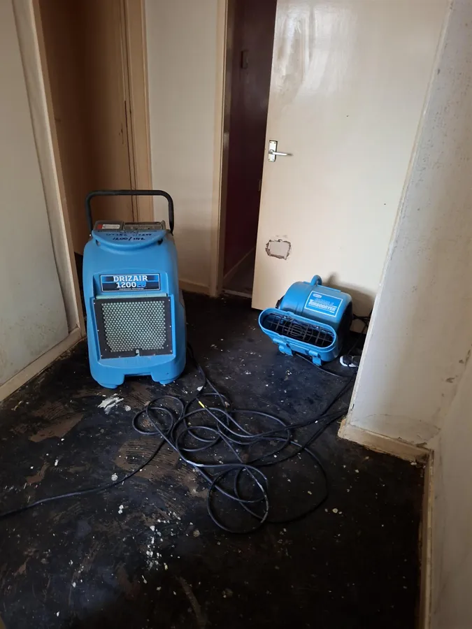 Water damage drying with professional dehumidifier
